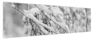 Obraz - Ośnieżone gałęzie (170x50 cm)