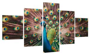 Obraz - Paw (125x70 cm)