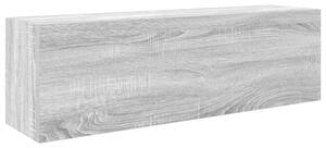 Wisząca szafka łazienkowa, szary dąb sonoma, 100x25x30 cm