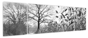 Obraz - Pola w zimie (170x50 cm)
