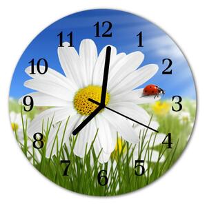 Zegar ścienny okrągły Biedronka kwiat