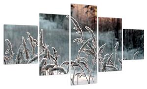 Obraz - Frozen Meadow (125x70 cm)