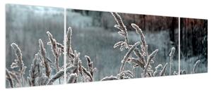 Obraz - Frozen Meadow (170x50 cm)
