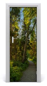 Naklejka fototapeta na drzwi Ścieżka w lesie
