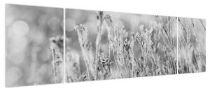 Obraz - Mroźna zima (170x50 cm)