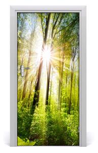 Naklejka na drzwi samoprzylepna Słońce w lesie