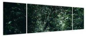 Obraz - Ścieżka przez las (170x50 cm)
