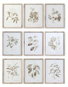 Emaga Obraz DKD Home Decor Kwiaty, rośliny i drzewa (40 x 2,5 x 50 cm) (9 Sztuk)
