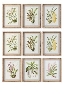 Emaga Obraz DKD Home Decor Tropikalny Kwiaty, rośliny i drzewa (35 x 2,8 x 45 cm) (9 Sztuk)