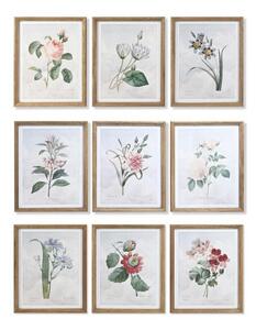 Emaga Obraz DKD Home Decor Kwiaty, rośliny i drzewa Shabby Chic (40 x 2 x 50 cm) (9 Sztuk)