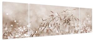 Obraz - Łąka w odcieniach brązu (170x50 cm)