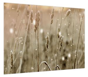 Obraz - Harmonious Meadow (70x50 cm)