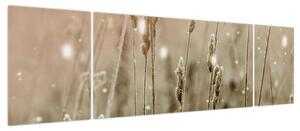 Obraz - Harmonious Meadow (170x50 cm)