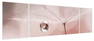 Obraz - Kropla rosy (170x50 cm)
