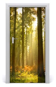 Naklejka fototapeta na drzwi Krajobrazy Piękny las
