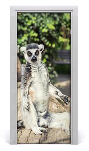 Naklejka samoprzylepna na drzwi Lemur