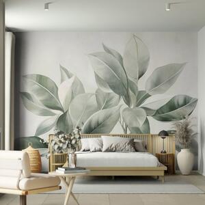 Fototapety Jasnozielone liście na jasnym, delikatnym tle, styl boho z wyrazistą fakturą, Tapety Wyjątkowe, w09909 : Uwalls.pl