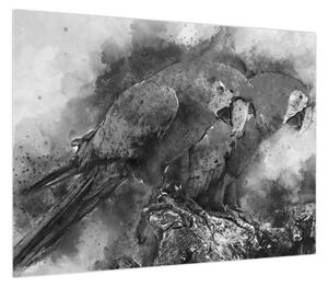 Obraz - Papugi akwarelowe (70x50 cm)