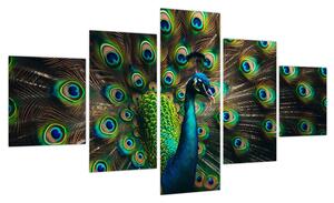 Obraz – Paw (125x70 cm)