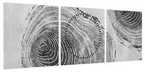 Obraz - Motyw drzewa (z zegarem) (90x30 cm)