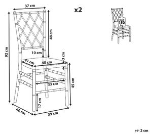 Zestaw 2 krzeseł do jadalni przezroczystych transparentnych plastikowy Clarion Beliani