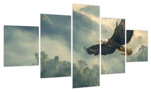 Obraz - Lecący orzeł (125x70 cm)