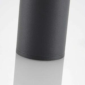 Lucande - Embla LED Ogrodowe Reflektor Sufitowy Dark Grey