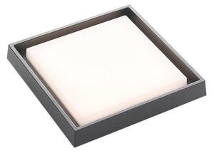 Lucande - Birta LED Square Ogrodowe Lampa Sufitowa 27x27 Dark Grey Lucande
