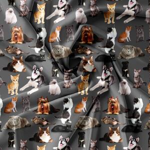 Pościel z mikrofibry DOGS AND CATS ciemnoszara Rozmiar pościeli: 70 x 80 cm | 140 x 200 cm