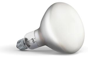 Flos - Żarówka LED 13W (1300lm) 2700K Ściemnialna E27
