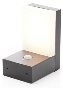 Lindby - Chioma LED Solarna Ścienna Lampa Ogrodowa w/Sensor Dark Grey Lindby