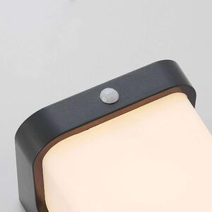 Lindby - Adenike LED Ścienna Lampa Ogrodowa w/Sensor Dark Grey Lindby
