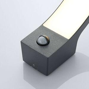 Lindby - Ilvita LED Ścienna Lampa Ogrodowa w/Sensor Anthracite Lindby