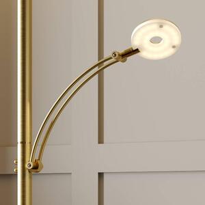 Lucande - Anniki LED Lampa Podłogowa Brass Lucande