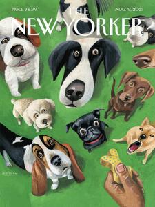 Ilustracja The Ny Magazine Cover 65