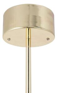Globen Lighting - Matisse Lampa Sufitowa Brass/White