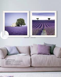 | SPRAWDŹ RABAT W KOSZYKU ! Obraz Beautiful Provence 90x90 DE-FA12293 MINDTHEGAP DE-FA12293