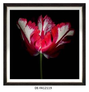 | SPRAWDŹ RABAT W KOSZYKU ! Obraz Beautiful Tulip II 90x90 DE-FA12119 MINDTHEGAP DE-FA12119