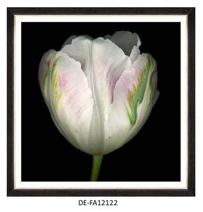 | SPRAWDŹ RABAT W KOSZYKU ! Obraz Beautiful Tulip IV 70x70 DE-FA12122 MINDTHEGAP DE-FA12122