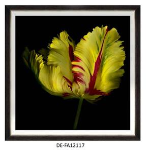 | SPRAWDŹ RABAT W KOSZYKU ! Obraz Beautiful Tulip I 90x90 DE-FA12117 MINDTHEGAP DE-FA12117