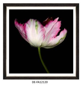 | SPRAWDŹ RABAT W KOSZYKU ! Obraz Beautiful Tulip III 70x70 DE-FA12120 MINDTHEGAP DE-FA12120