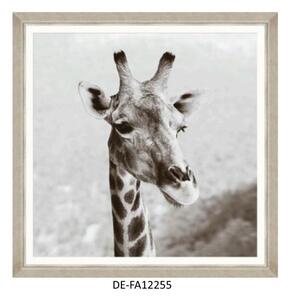 | SPRAWDŹ RABAT W KOSZYKU ! Obraz Giraffe Head 90x90 DE-FA12255 MINDTHEGAP DE-FA12255