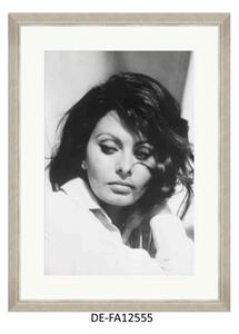 | SPRAWDŹ RABAT W KOSZYKU ! Obraz Sophia Loren 60x80 DE-FA12555 MINDTHEGAP DE-FA12555