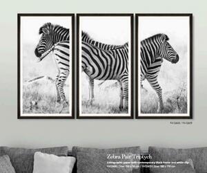 | SPRAWDŹ RABAT W KOSZYKU ! Obraz trzyczęściowy Zebra Pair Tryptich 180x110 DE-FA12609 MINDTHEGAP DE-FA12609
