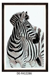 | SPRAWDŹ RABAT W KOSZYKU ! Obraz Zebra Portrait 60x80 DE-FA12286 MINDTHEGAP DE-FA12286