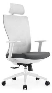 Fotel obrotowy do biurka ergonomiczny Spacetronik ELSA