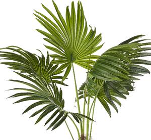 Sztuczna roślina palma zielona czarna doniczka tworzywo sztuczne 100 cm Fan Palm Beliani