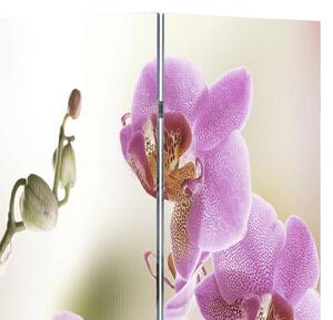 Składany parawan, 200x170 cm, motyw kwiatowy