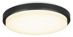Halo Design - Upscale LED Lampa Sufitowa Ø22 Black