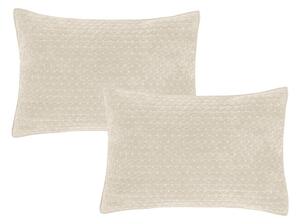Poszewki na poduszki zestaw 2 szt. 50x75 cm Attica Velvet Embroidered – Bianca